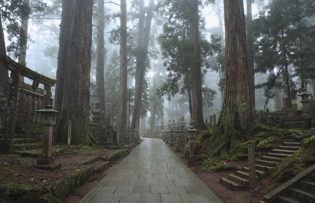 Giappone_Monte_Koya_viale_esterno_giorno_blueberrytravel