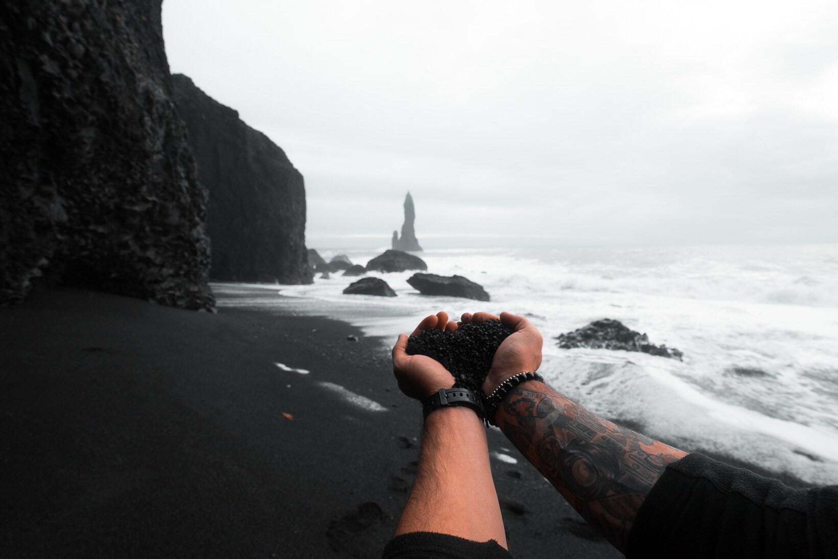 islanda-vik-blueberry