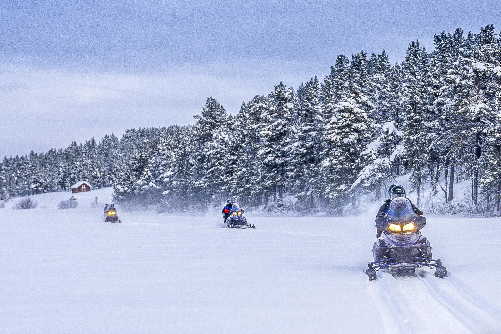 finlandia-lapponia-motoslitta-blueberry-travel