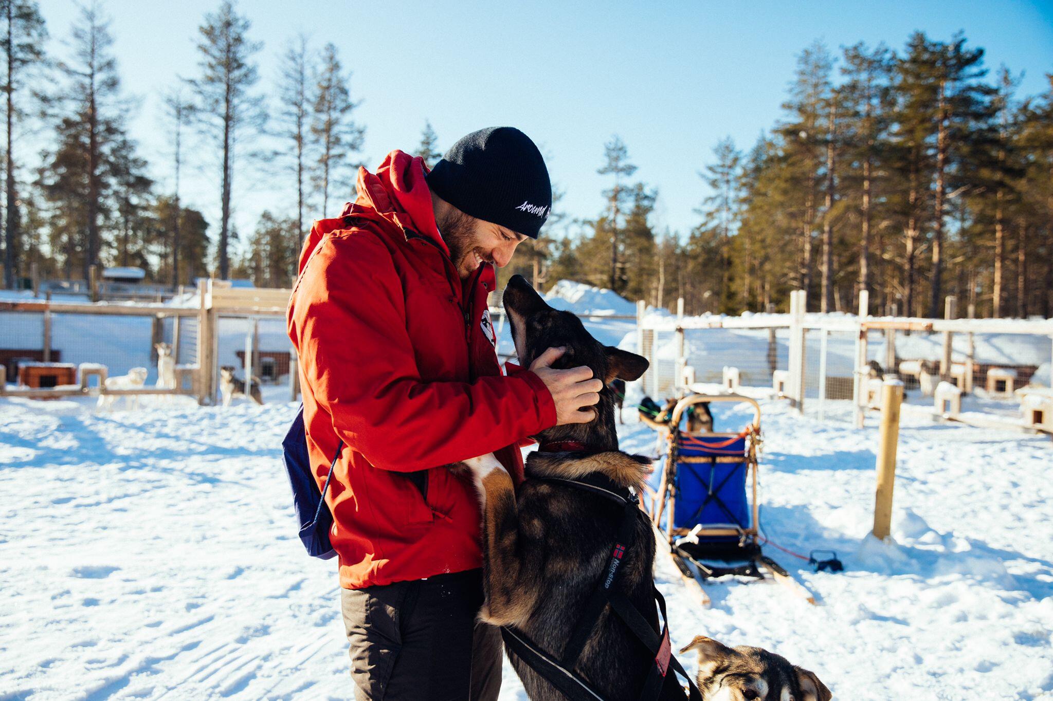 viaggio-lapponia-svedese-blueberry-husky-safari1-around-heart