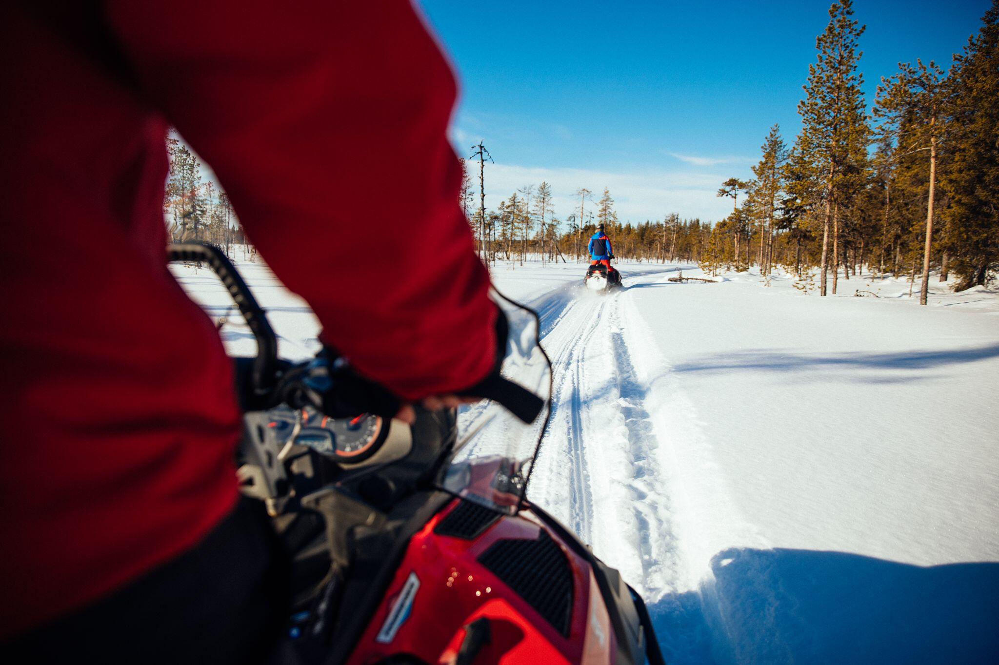 viaggio-lapponia-svedese-blueberry-motoslitta-around-heart