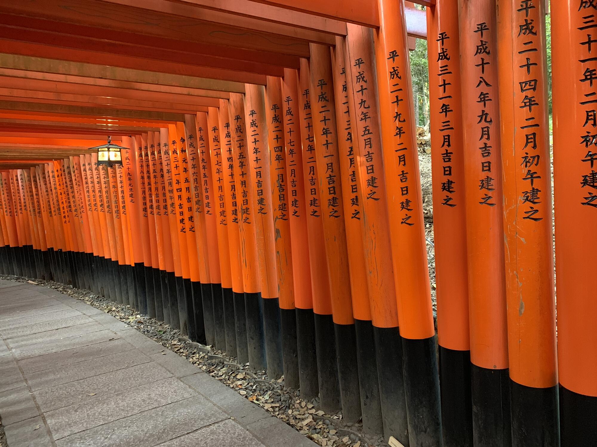 giappone-giappotour-fushimi-inari-2019-blueberrytravel (1)
