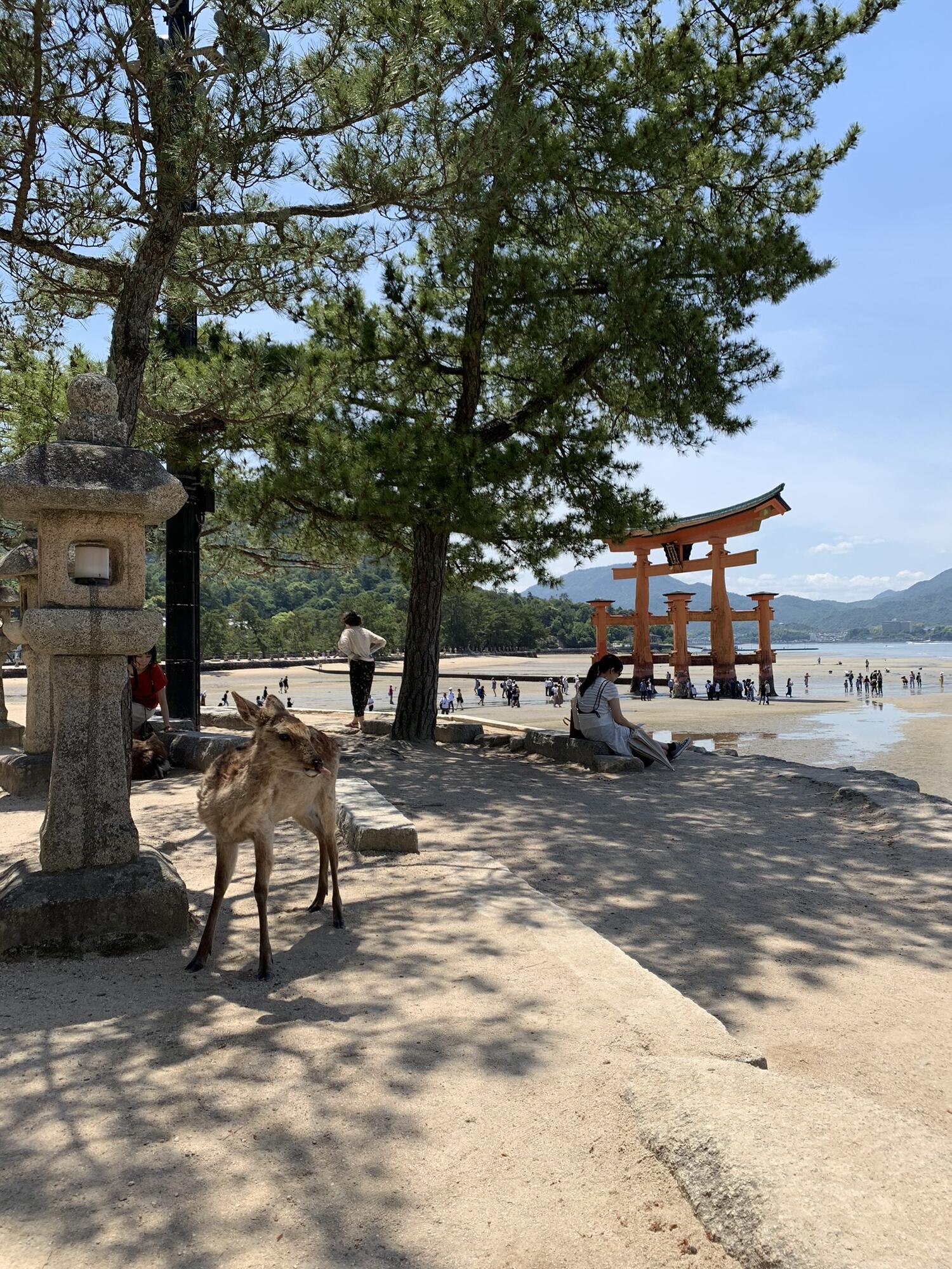 giappone-giappotour-hiroshima-2019-blueberrytravel (1)