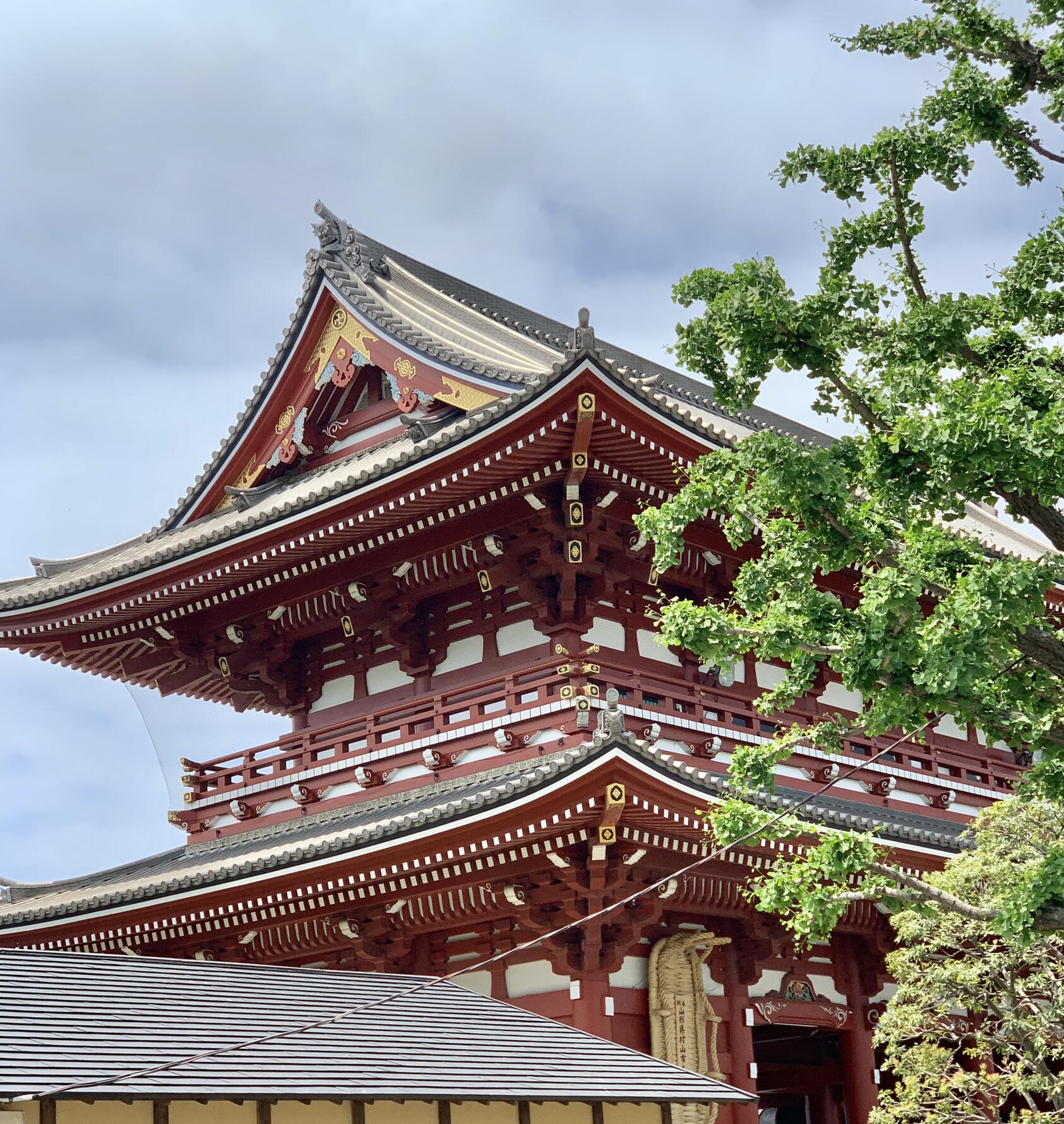 giappone-giappotour-tokyo-2019-blueberrytravel (15)