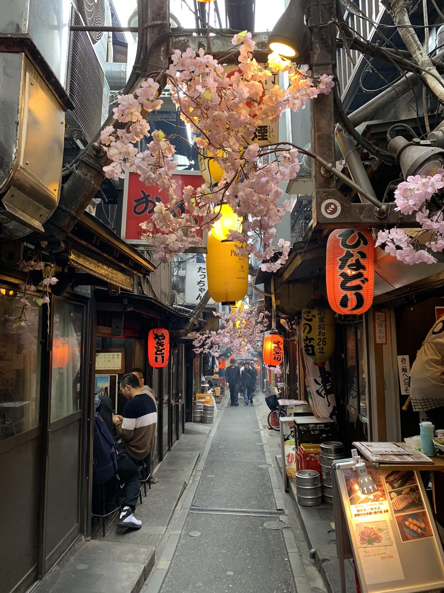 giappone-giappotour-tokyo-2019-blueberrytravel (31)
