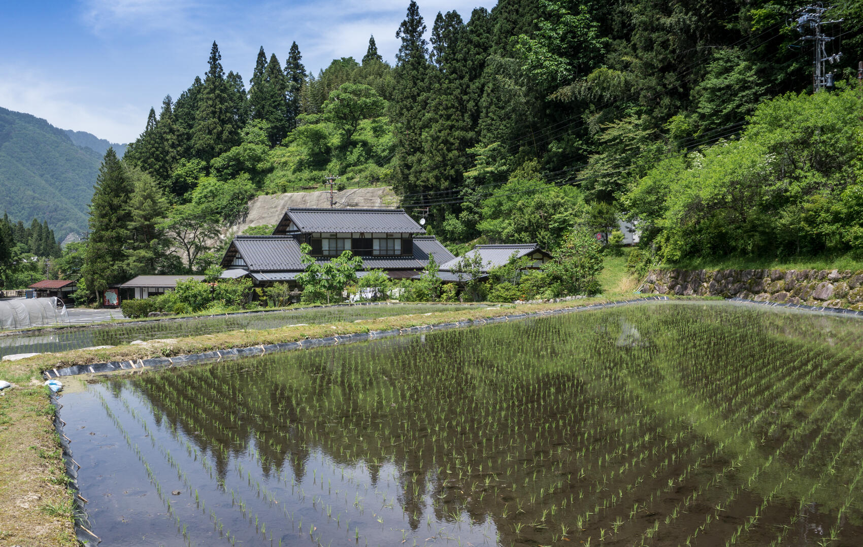 giappone-nakasendo-0618-blueberrytravel-g-11