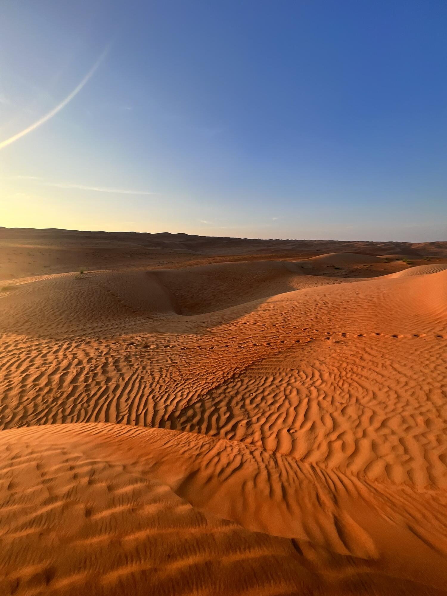 viaggio-oman-blueberry-travel (72)