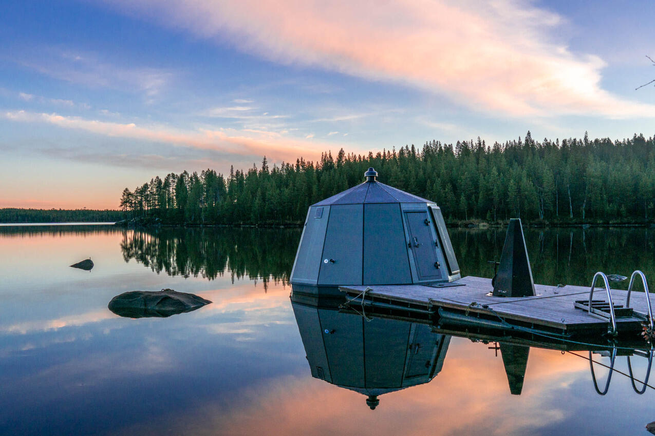 lapponia-svedese-svezia-blueberry (2)