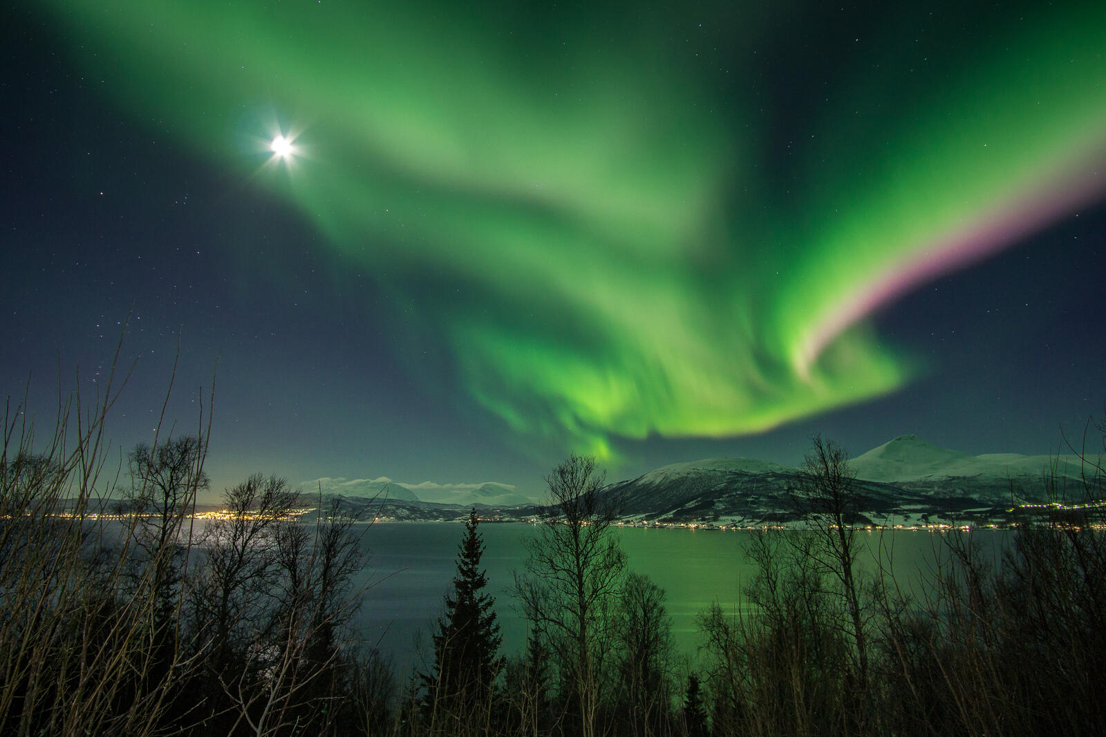 viaggio-norvegia-blueberry-aurora-boreale-tromso