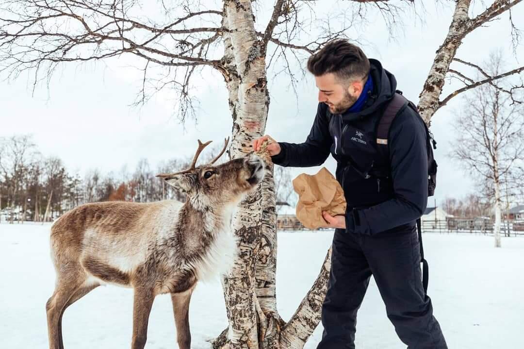 finlandia-lapponia-renne-03-blueberrytravel