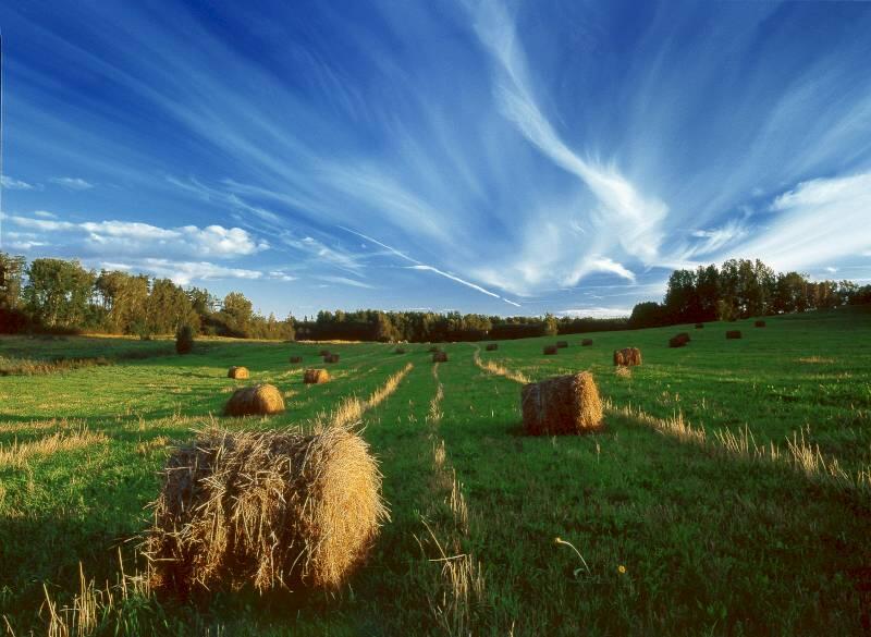 repubbliche-baltiche-lettonia-campagna-04-blueberrytravel