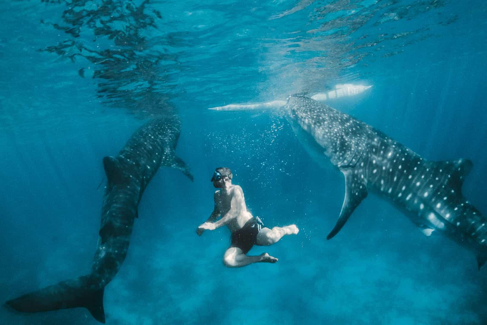 Filippine-around-heart-blueberry-travel (77)