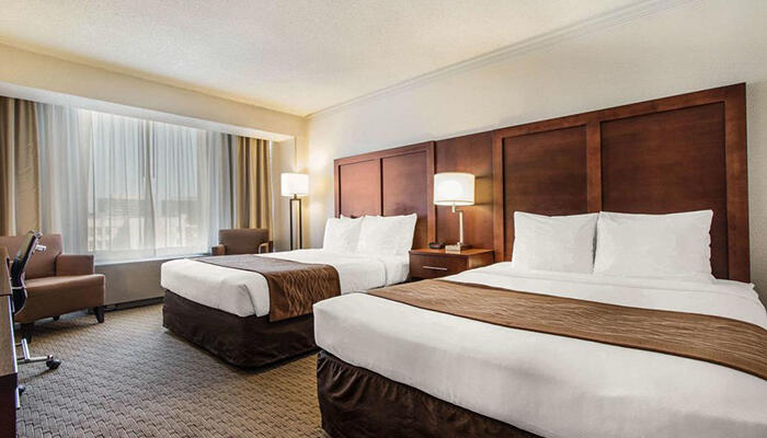 hotel-san-francisco-blueberry-travel