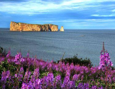 Canada_percerock_box_blueberrytravel