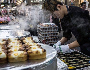 CoreaTour-Blueberry-50