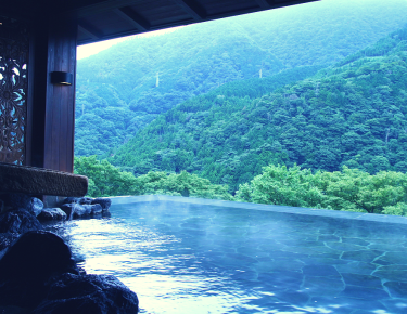 Giappone-Hakone-Gnyu-blueberry