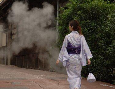 Giappone-beppu-blueberry