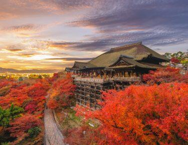 Giappone-kyoto-kyomizudera-blueberry