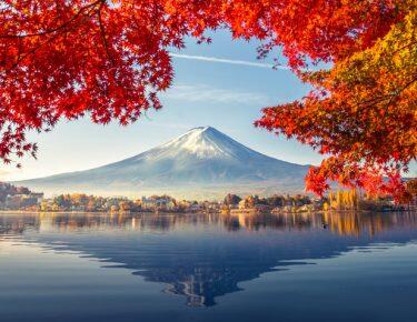 Giappone-montefuji2-blueberry