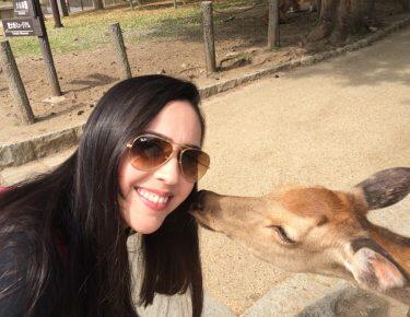 Nara-cervi-blueberry-travel