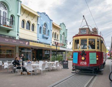Nuova Zelanda - Christchurch - blueberry