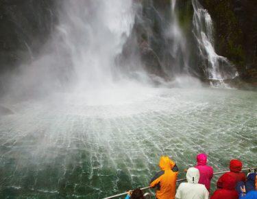 Nuova Zelanda - Milford Sound 2 - blueberry