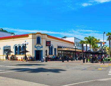 Nuova Zelanda - Napier - blueberry