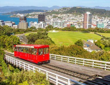 Nuova Zelanda - Wellington - blueberry