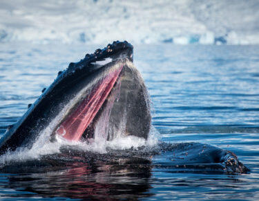 Ruslan Eliseev_1415_DSC_7762.jpg