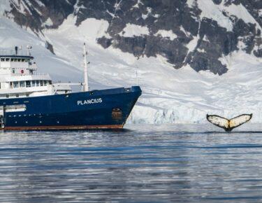 antartide-ms-plancius-oceanwide-01-blueberrytravel