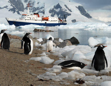 antartide-ms-ushuaia-pinguini-07-blueberrytravel