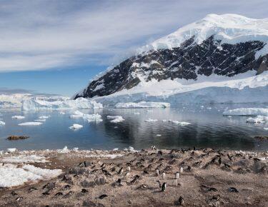 antartide-panorama-pinguini-01-blueberrytravel
