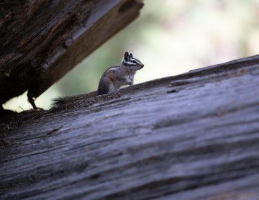 around-usa-blueberrytravel-paesaggio (15)