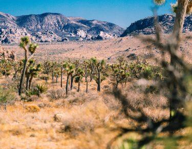 around-usa-blueberrytravel-paesaggio (3)