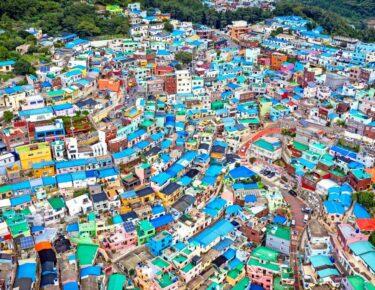 corea-blueberry-travel (3)