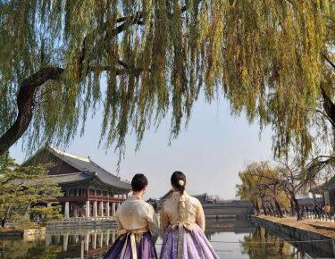 corea-coreatour-blueberry-travel-persi-corea-novembre (15)