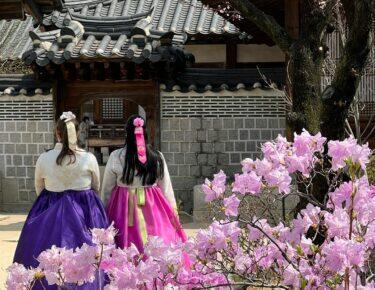 corea-coreatour-seoul-blueberry-travel-persi-corea (20)