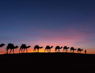 Silhouette of caravan in desert Sahara, Morocco with beautiful and colorful sunset in background