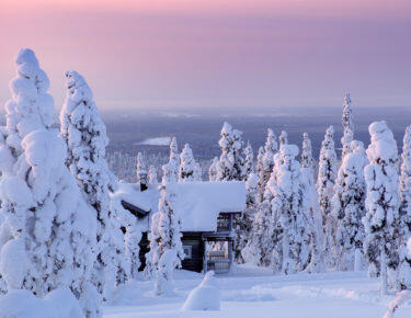 finlandia-lapponia-foresta-innevata-03-blueberrytravel