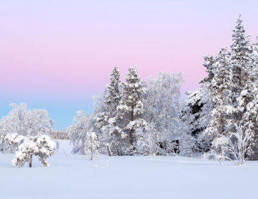 finlandia-lapponia-foresta-innevata-05-blueberrytravel