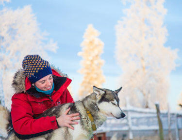 finlandia-lapponia-husky-11-blueberrytravel