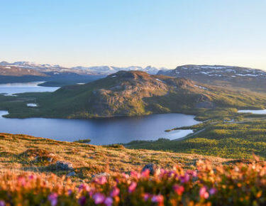 finlandia-lapponia-panorama-estate-01-blueberrytravel