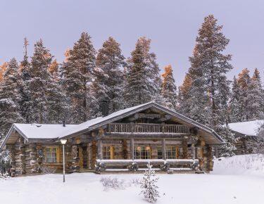 finlandia-lapponia-ruka3-blueberry-travel