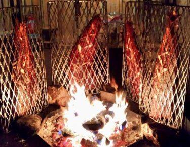 finlandia-lapponia-salmone-blueberry-travel