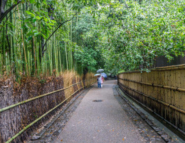 giappone-arashiyama-0618-blueberrytravel-g