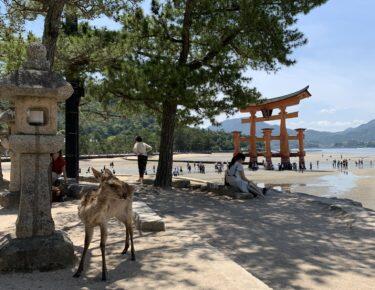 giappone-giappotour-hiroshima-2019-blueberrytravel (1)