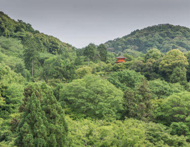 giappone-kyoto-0618-blueberrytravel-g-15