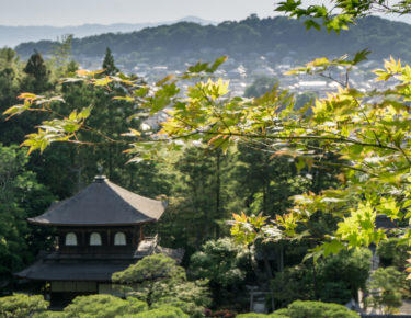 giappone-kyoto-0618-blueberrytravel-g-4