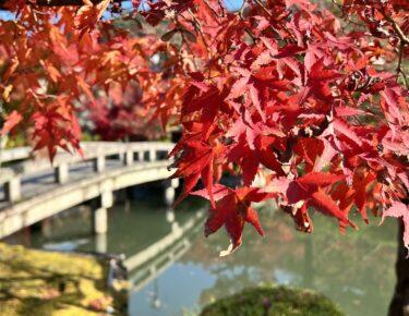giappone-kyoto-autunno-blueberrytravel (14)