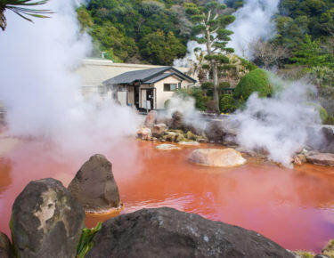 giappone-kyushu-beppu-blueberry-travel (3)